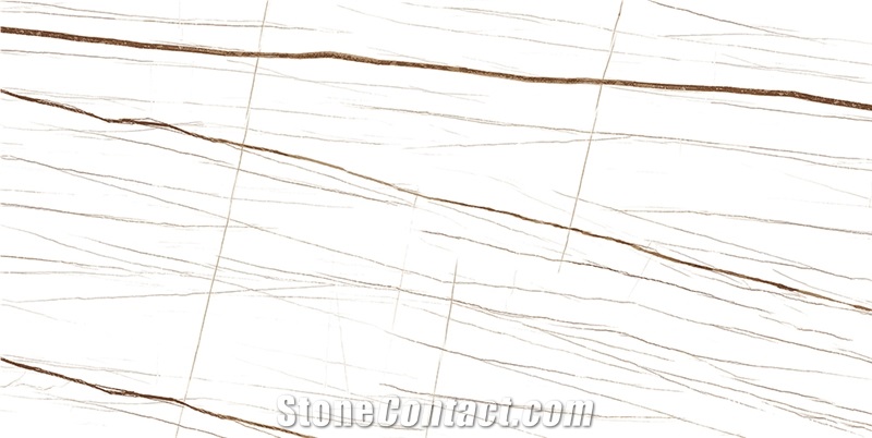 Noir Laurent Sintered Stone Big Slabs