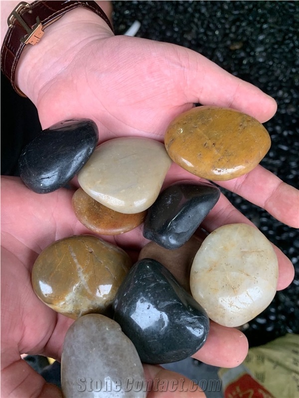 Landscape High Polished Mixed Color Pebble Stone