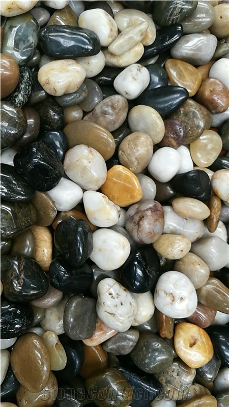 Landscape High Polished Mixed Color Pebble Stone