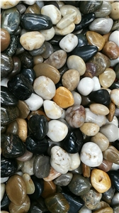 Landscape High Polished Mixed Color Pebble Stone
