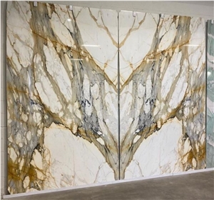 Calacatta Macchia Vecchia Marble Slabs Flooring