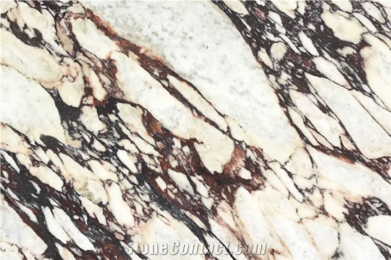 Calacatta Viola Marble Flooring Walls