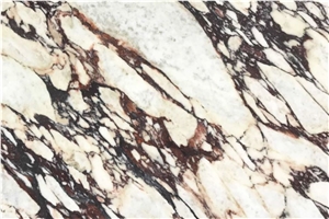 Calacatta Viola Marble Flooring Walls