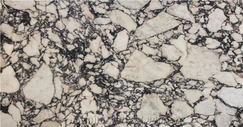 Calacatta Viola Marble Flooring Walls