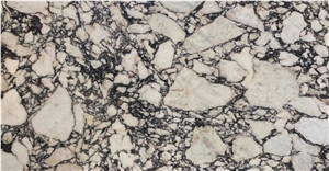 Calacatta Viola Marble Flooring Walls