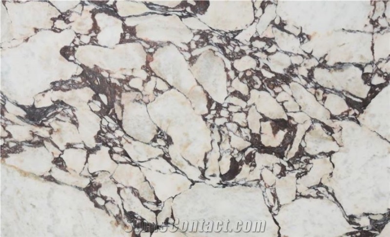 Calacatta Viola Marble Flooring Walls