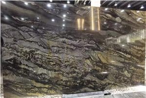 Brazil Sandalus Pellini Brown Quartzite Ancient Wood Slab