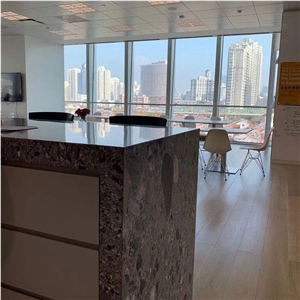 GOLDTOP OEM/ODM Fossil Grey Marble Slabs