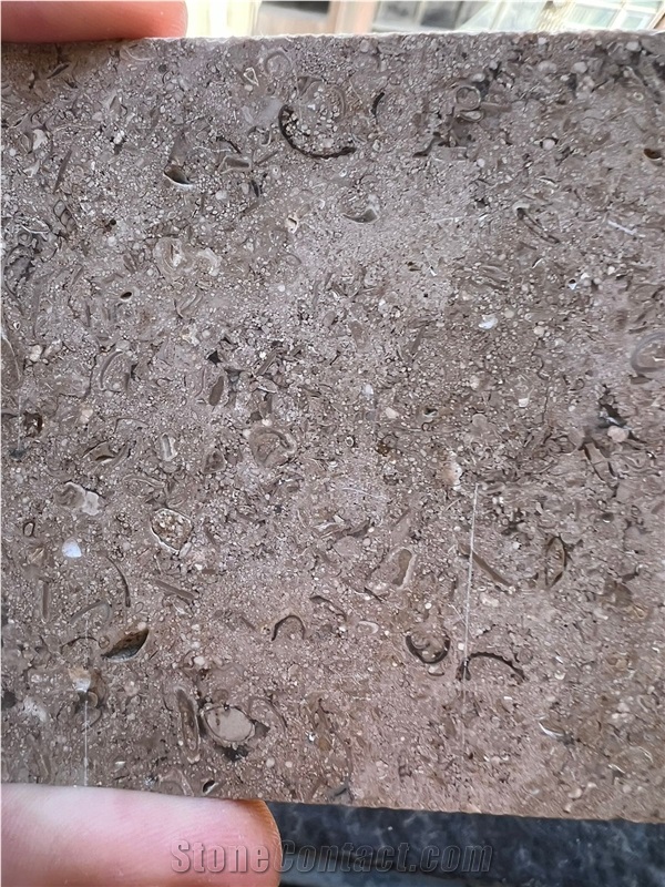 Sinai Pearl Limestone- Teriesta Limestone Wall Tiles, Floor Tiles