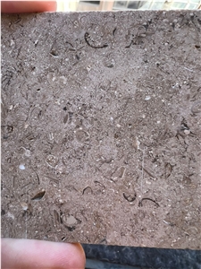Sinai Pearl Limestone- Teriesta Limestone Wall Tiles, Floor Tiles