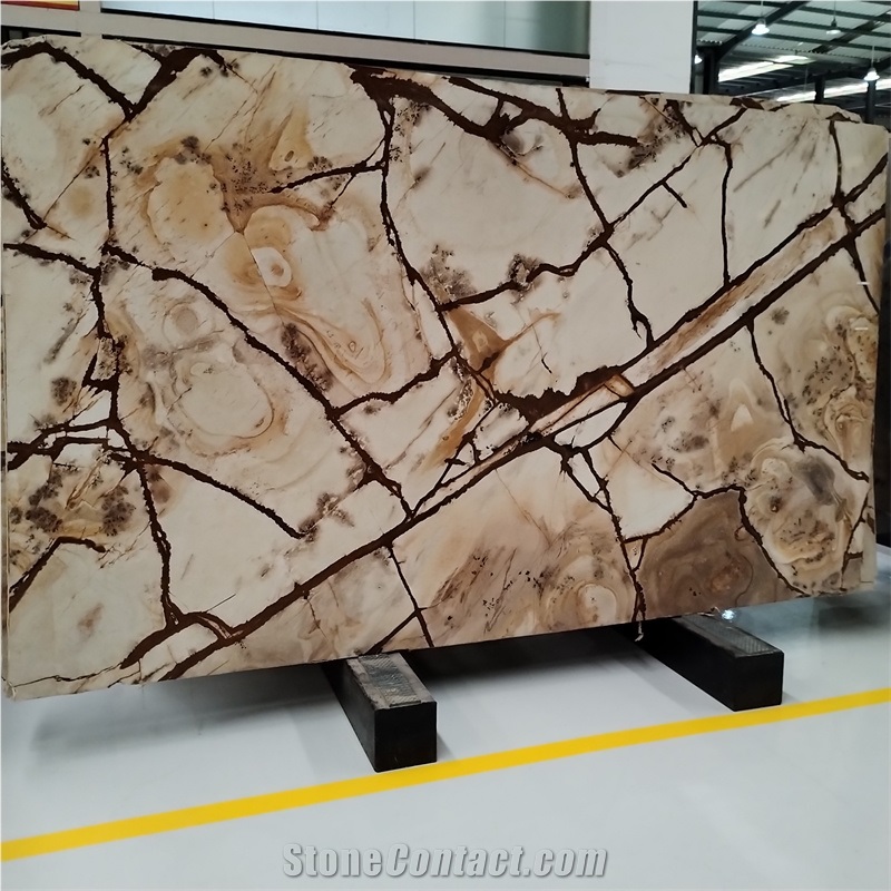 Exotic Gold Polished Stone Wood Quartzite Slabs For Kitchen