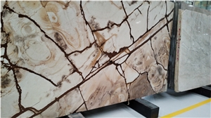 Exotic Gold Polished Stone Wood Quartzite Slabs For Kitchen