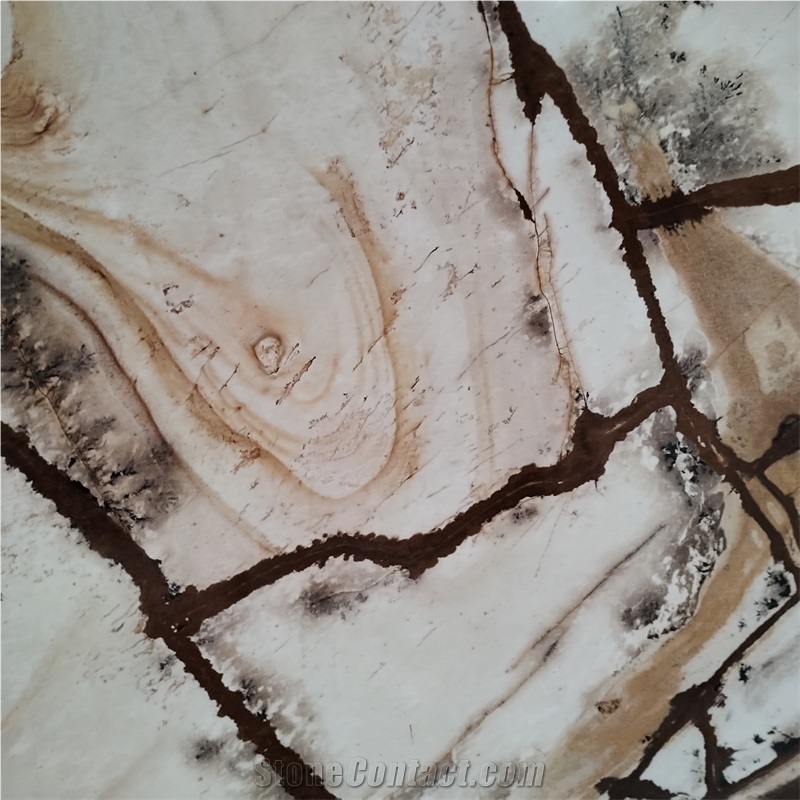 Exotic Gold Polished Stone Wood Quartzite Slabs For Kitchen