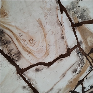 Exotic Gold Polished Stone Wood Quartzite Slabs For Kitchen