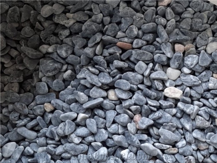 Grey Pebble For Landscape And Garden Best Price