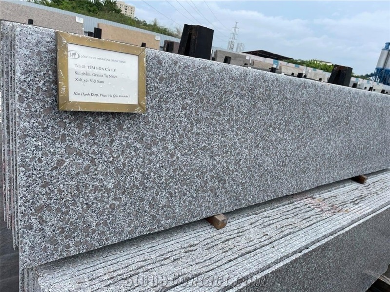 Tombstone Pink Purple Granite Vietnam Factory