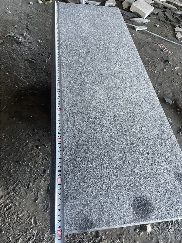 Vietnam G654 Dark Grey Granite Bullnose Pool Coping, Pool Pavers