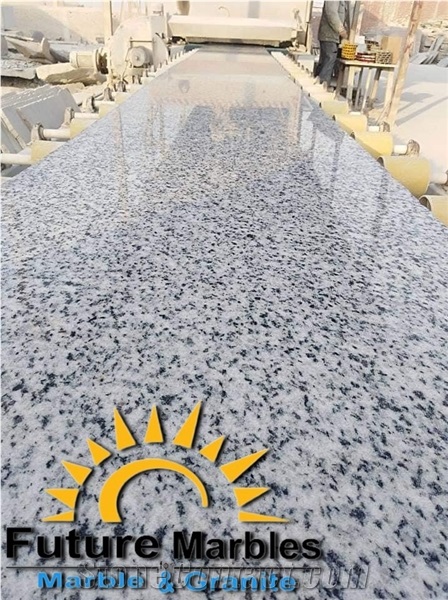 Bianco Halayeb Granite Slabs