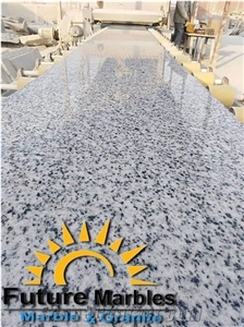 Bianco Halayeb Granite Slabs