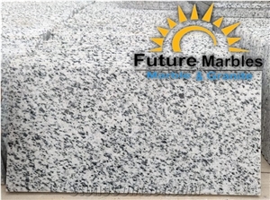 Bianco Halayeb Granite Slabs