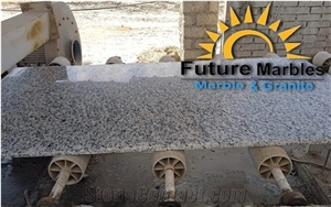 Bianco Halayeb Granite Slabs