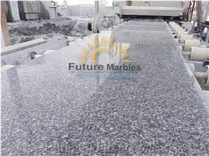 Grey El Sherka - Egyptian Granite