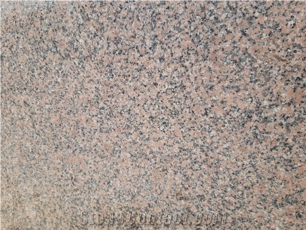 Rosa Hoody - Egyptian Granite