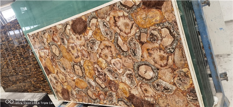 Petrified Wood Gemstone