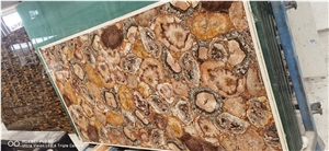 Petrified Wood Gemstone