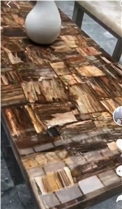Petrified Wood Gemstone