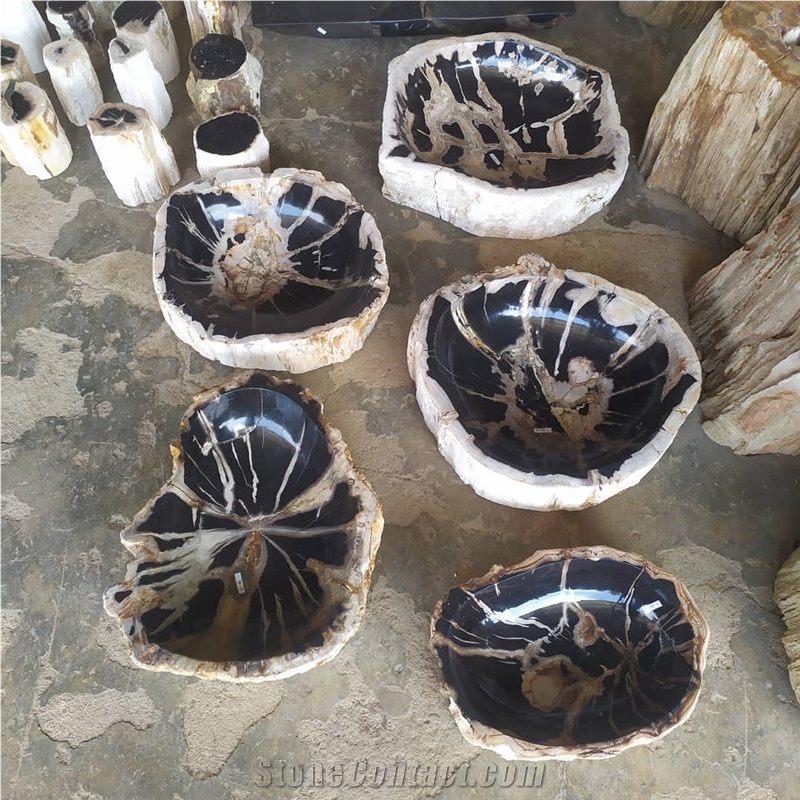 Wash Basins In Petrified Wood Indonesia