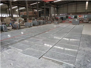 Vals Quartzite Wall Tiles, Quartzite Lobby Tiles
