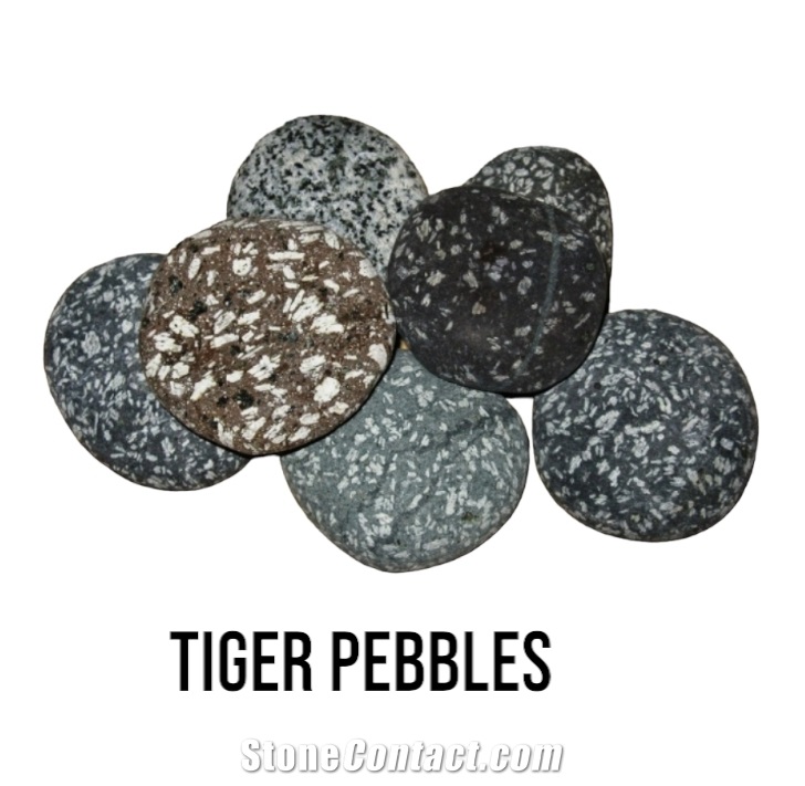 Tiger Pebble Stone- Basalt Decorative Pebbles