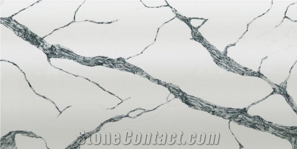 DXQ6536 QUARTZ