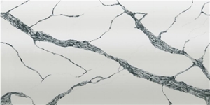 DXQ6536 QUARTZ