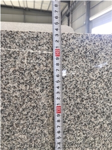 China Cheap Granite Slab Wuhan Bianco Crystal  G603