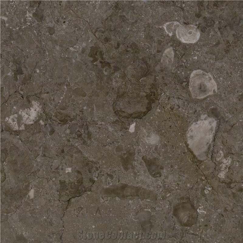 Caronica Grey Marble importance=