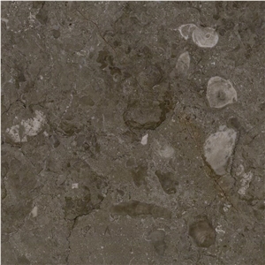 Caronica Grey Marble