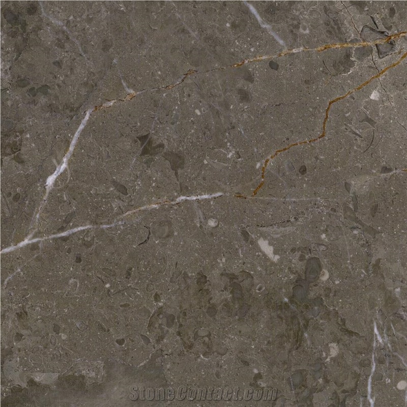 Caronica Grey Marble Tile