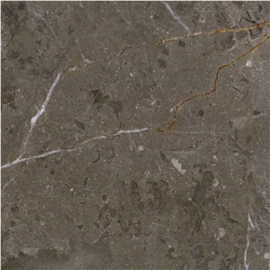 Caronica Grey Marble Tile
