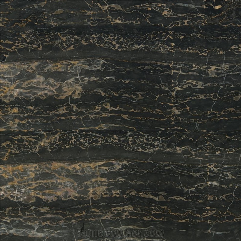 Nero Portoro Marble importance=