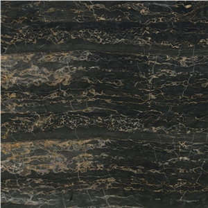 Nero Portoro Marble