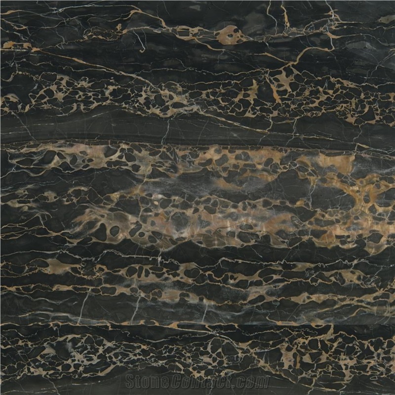 Nero Portoro Marble Tile