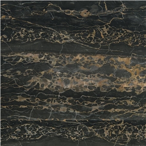 Nero Portoro Marble Tile