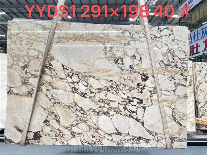 Calacatta Viola Marble Stone For Wall And Floor Tiles