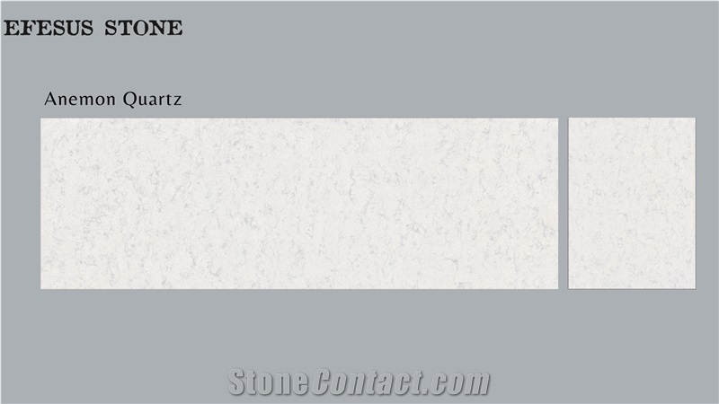 Anemon Quartz - Stone