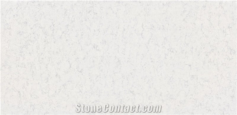 Anemon Quartz - Stone