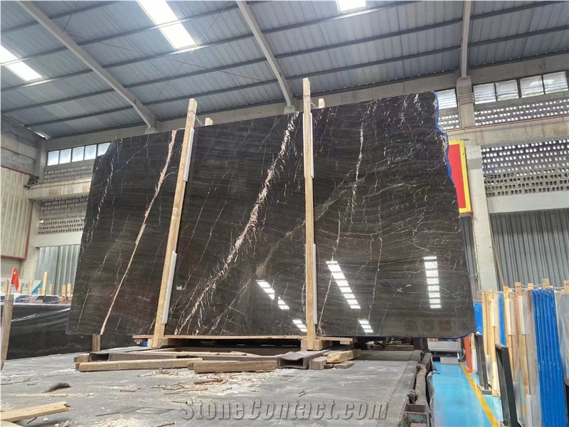 China Euronet B Mine Marble  Network Brown Stone Slab Tile