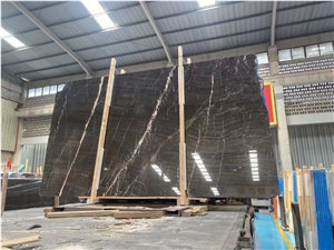 China Euronet B Mine Marble  Network Brown Stone Slab Tile