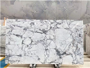 Statuario Venato Marble Slabs And Tiles